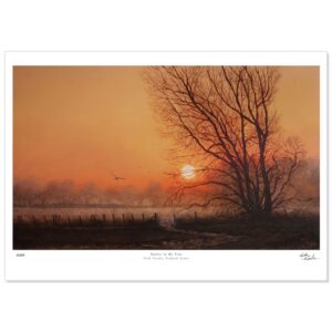 Fenland Fog Photographic Print by Tom Ashby