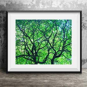 Forest Bathing Print by Fiona Blake