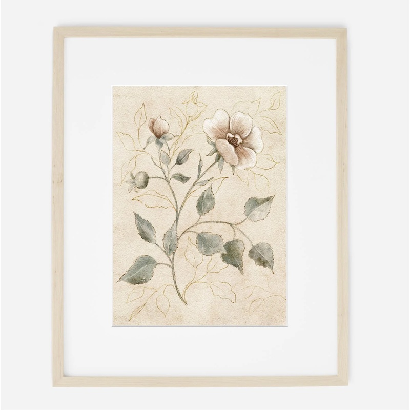 Framed Pressed Botanical Wild Rose