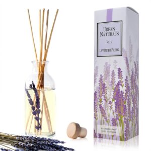Lavender Fields Oil by Clara Hutchins