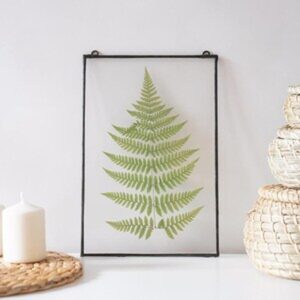 Pressed Botanical Wall Panel Fern