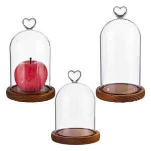 Rattan and Glass Cloche Display Dome