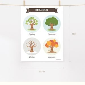 The English Seasons Set of 4 Prints