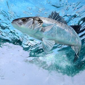 The Fisherman Oil by David Molnar