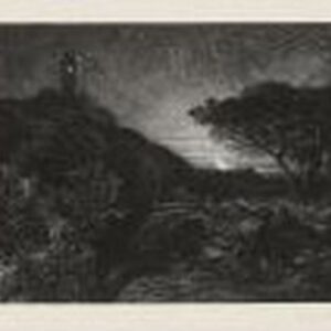 The Lonely Tree Oil by Samuel Vance