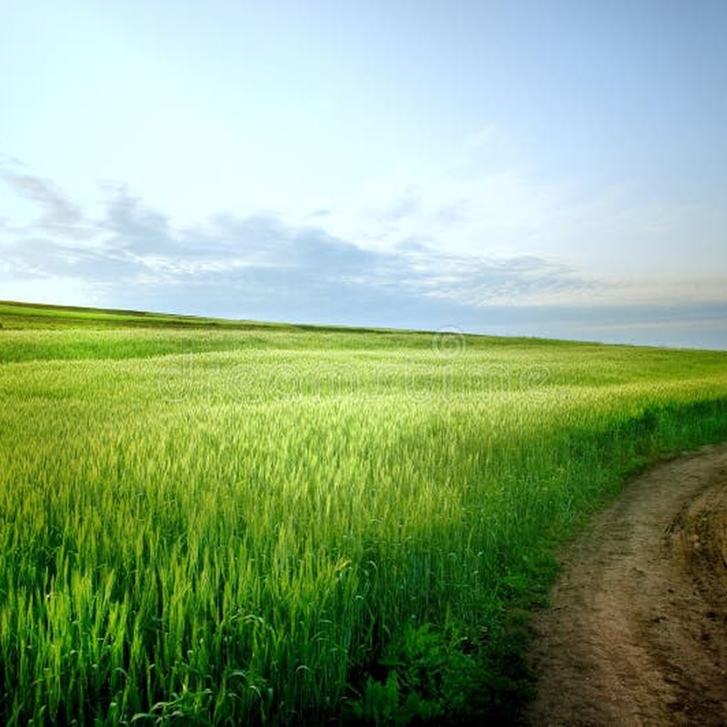The Long Road Rural Landscape by Sarah Kent